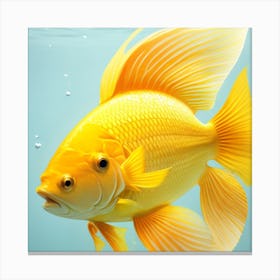 Goldfish Canvas Print