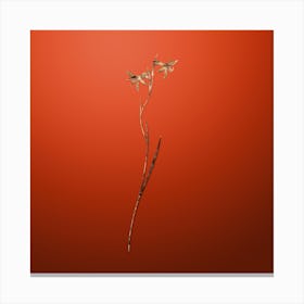 Gold Botanical Gladiolus Watsonius on Tomato Red n.0916 Canvas Print