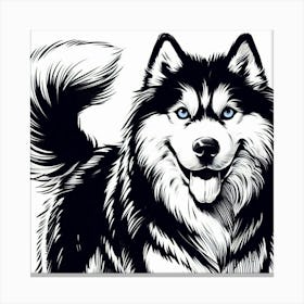 Husky dog 11 Canvas Print