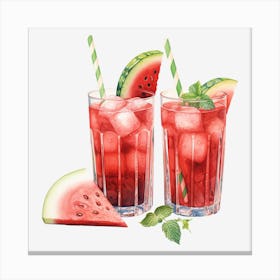 Watermelon Cocktail 12 Canvas Print