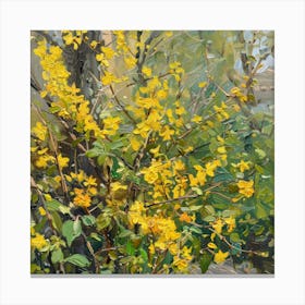 Forsythia 5 Canvas Print