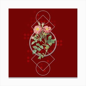 Vintage Queen Elizabeth's Sweetbriar Rose Botanical with Geometric Line Motif and Dot Pattern n.0298 Canvas Print