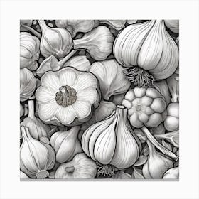 Garlic Drawing By Person Canvas Print