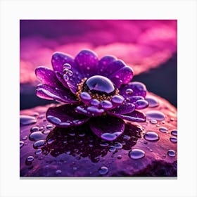 Purple Flower With Water Droplets 3 Canvas Print