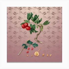 Vintage Red Thorn Apple Botanical on Dusty Pink Pattern n.0186 Canvas Print