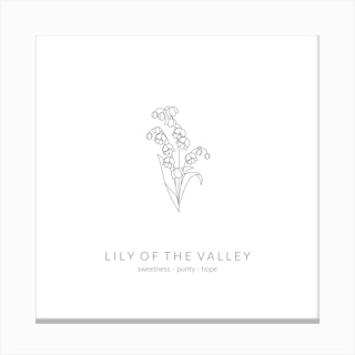 Lily Of The Valley Birth Flower Square Canvas Print