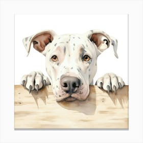 Dalmatian Dog 4 Canvas Print