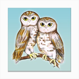 Two cute owls Canvas Print