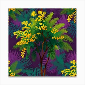Mimosa tree 1 Canvas Print