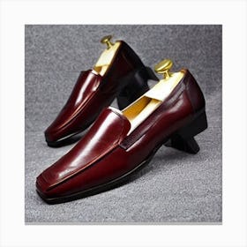 High Quality Italian Leather Shoes 3 ( Fromhifitowifi ) Canvas Print