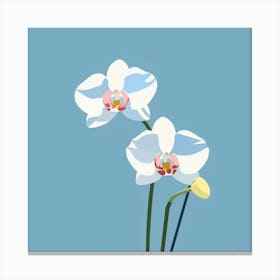 White Orchids Canvas Print