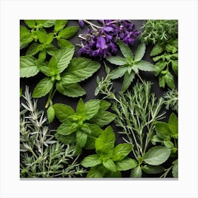 Top View Of Herbs On A Black Background 1 Canvas Print