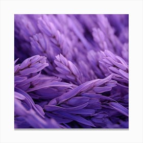 Lavender Flowers 9 Canvas Print