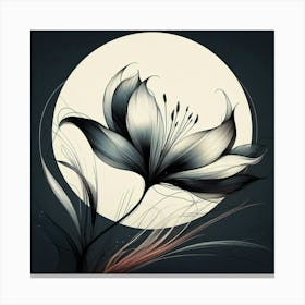 Lily Of The Moon Canvas Print