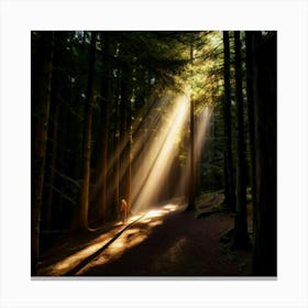 Light Of The Forest Canvas Print