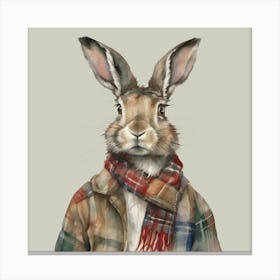 Highland Hare with Tartan Scarf Canvas Print