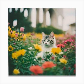 Cat in flowers yellow and orange Canvas Print