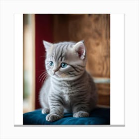 British Shorthair Kitten Canvas Print