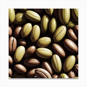 Coffee Beans 367 Canvas Print