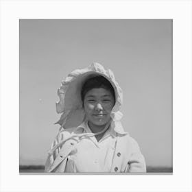 San Benito County, California, Japanese American Who Is Working In Field While Awaiting Final Evacuation Canvas Print