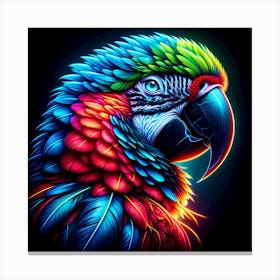 Macaw Canvas Print