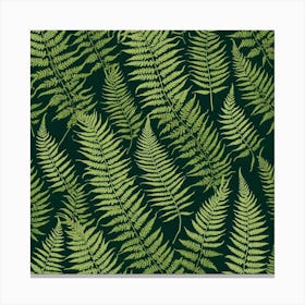 Fern Leaves 12 Canvas Print