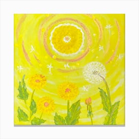 Img 5708  Dandelions and the sun, acrylic Canvas Print