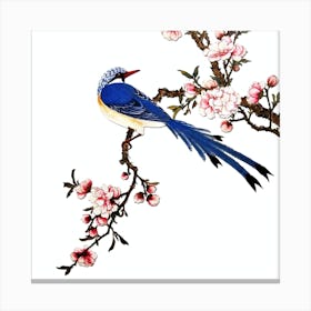 birds and cherry blossoms Canvas Print