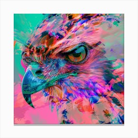 Hawk rainbow Canvas Print