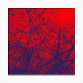 Red Sky Canvas Print