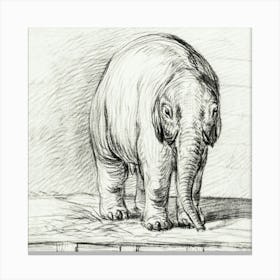 Standing Elephant, Jean Bernard Canvas Print