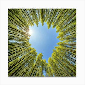 Heart Shaped Bamboo Forest Canvas Print