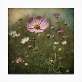 Cosmos Art Canvas Print