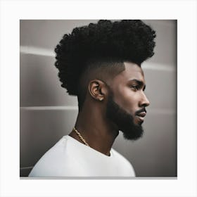 Afro Hairstyles For Men Canvas Print
