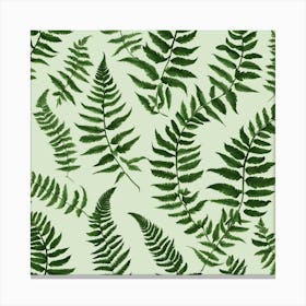 Fern Leaves 8 Canvas Print