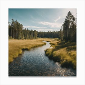 Stream In The Forest 5 Canvas Print