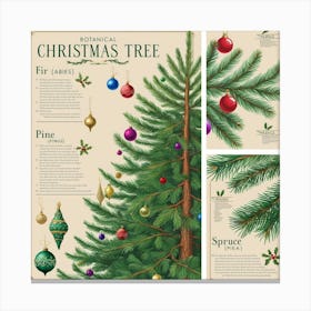 Christmas Tree Vintage Botanical Style With Ornaments 4 Canvas Print