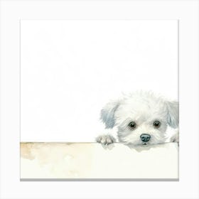 White Maltese Puppy Canvas Print