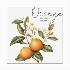 Orange You Old Me Canvas Print