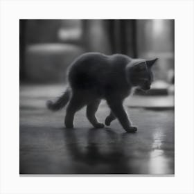 A Black And White Homeless Little Kitten 2 Canvas Print