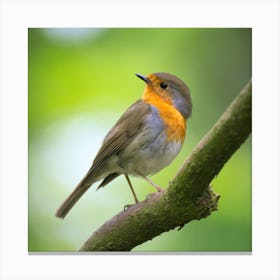 Beautiful birds  Canvas Print