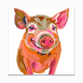 Duroc Pig 03 Canvas Print