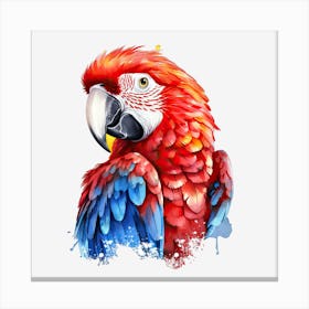 Red Parrot Lienzos