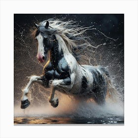 Horse Running In Water 6 Canvas Print