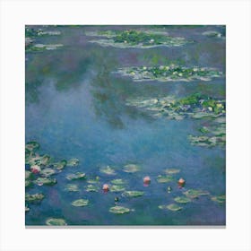 Water Lilies 17 Canvas Print