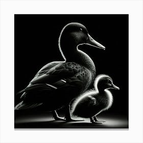 Ducks And Ducklings Canvas Print