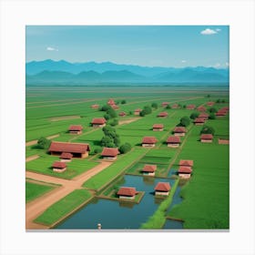 Rice Fields In Vietnam Canvas Print