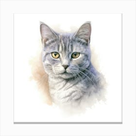 Australian Mist Shorthair Cat Portrait Canvas Print