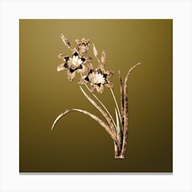 Gold Botanical Ixia Tricolore on Dune Yellow n.0468 Canvas Print