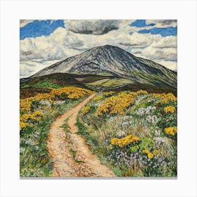 Path In The Mountains Canvas Print